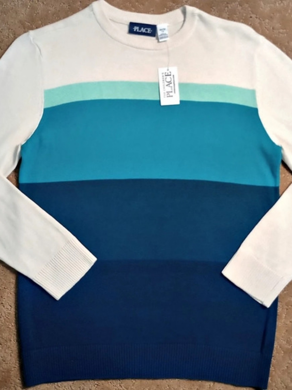 The Children's Place Boys Colorblock Striped Sweater Blue & White 10/12